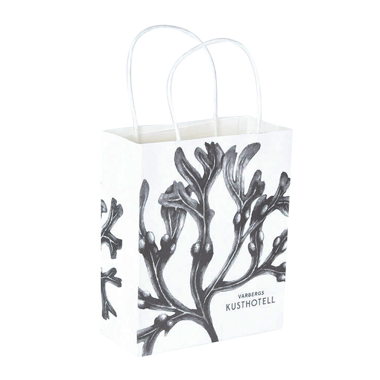 Custom logo paper gift bags with handles